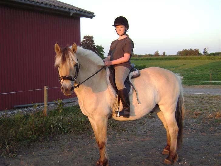 Fjordhest Rasmus    ¤død¤ - mig og min skønne pruhest billede 10