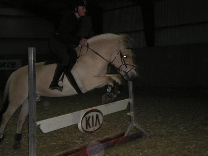 Fjordhest Hashagen's Faika - Til undervisning d. 14/10 billede 19