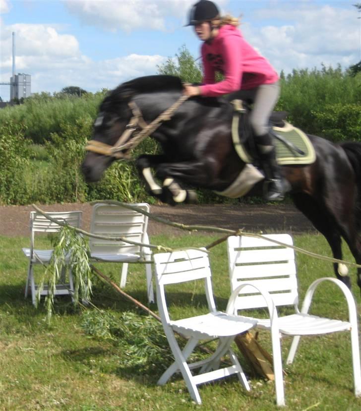 New Forest Bella - 7* Spring i haven igen :) Lidt utydeligt, men lækker er hun da ;D  Taget af: Maria billede 7