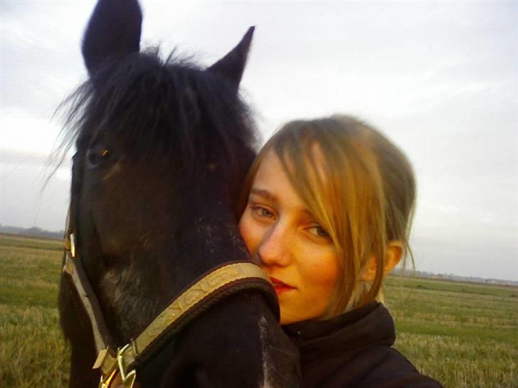 New Forest Bella - 8*  Elsker dig Bella! <´333 :]  Ude og gå tur på vesterheden ;P  Taget af: Mig/Louise billede 8