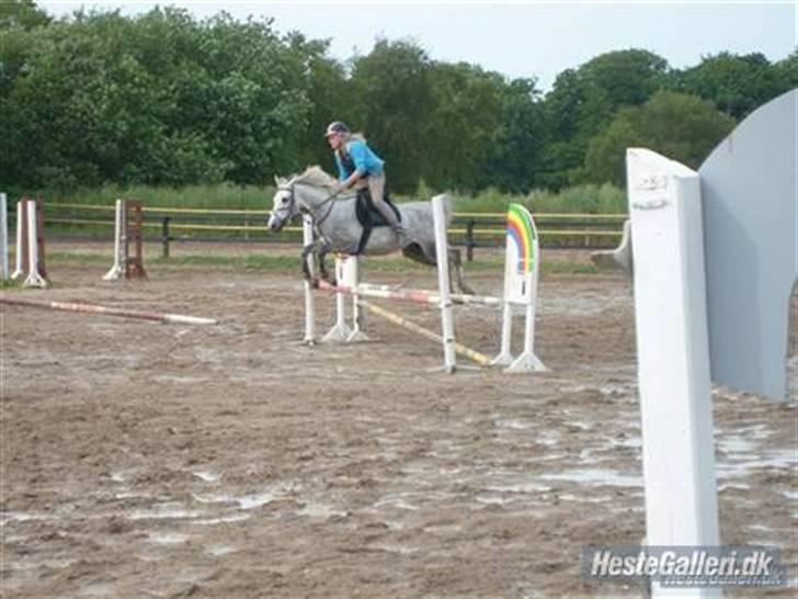 Anden særlig race Moonjam  billede 16