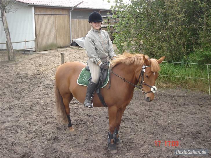 New Forest Pasha - Fordi jeg savner dig - det er ubeskriveligt! billede 12