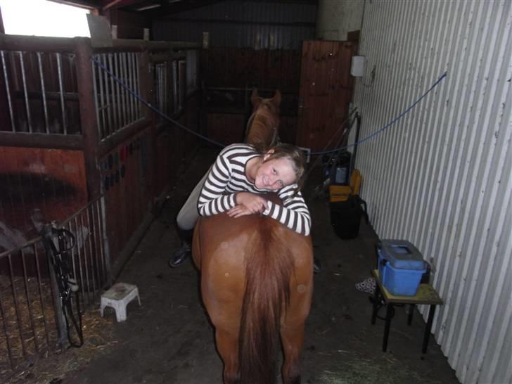 New Forest Pasha - Fordi du var speciel! billede 14