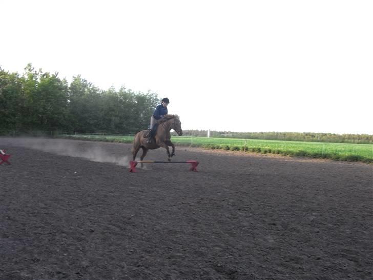 New Forest Pasha - Fordi jeg vil se dig igen! billede 19