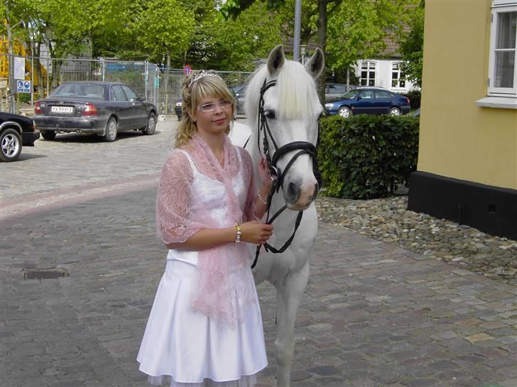 Irsk Sportspony Cappachino Pensioneret - HAN STOD UDEN FORF KIRGEN, TIL MIN KONFIRMATION.. WOW HVOR BLEV JEG GLAD.:D (Fotograf: Min onkel tror jeg nok) billede 12