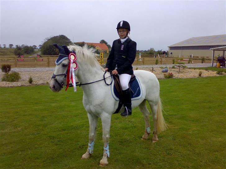 Irsk Sportspony Cappachino Pensioneret - 2 STK. GO´ DAG <3 en i LC og en i LB. (Fotograf: Min far) billede 14