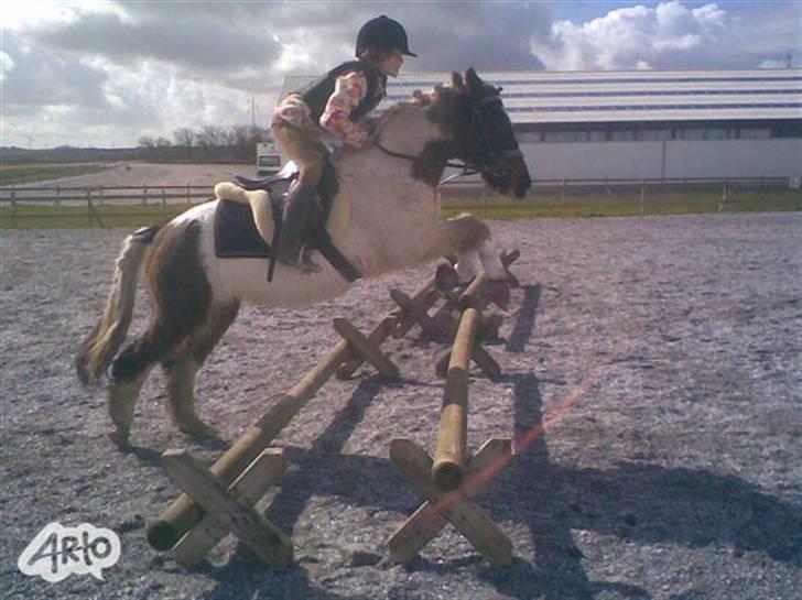 Anden særlig race Flicka sanet og elsket (RIP):( - Du så smuk flicka! Et billede hvor jeg for en gangs skyld kan sidde pænt på hende :) billede 3