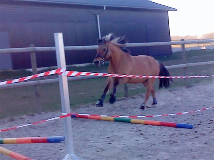 Anden særlig race Apollon. # Gammel part # - WEEE!! XD billede 18