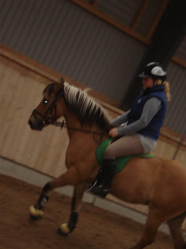 Anden særlig race Apollon. # Gammel part # - Du er fantastisk skat.. <33 Du gør jeg altid glad :´) billede 19