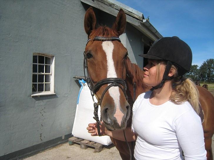 Palomino Lady - SOLGT :'(  - Heeeej tykke :* billede 8