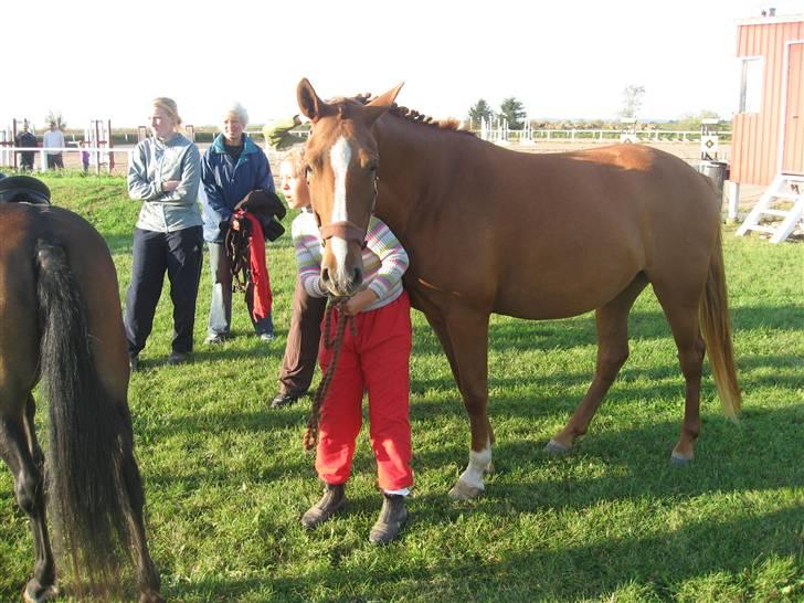 Palomino Lady - SOLGT :'(  - Mig og Lady til vores første stævne :)  Er hun ikke smuk ! <3 billede 11