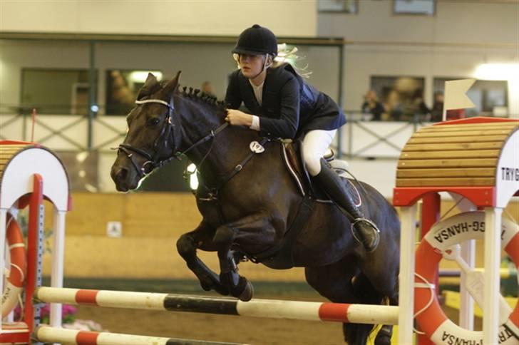 Irsk Sportspony Sirocco Stacey - baltic cob 2009 nr. 3 ;D billede 19