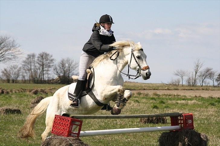 DSP  Stenvænge Sarka - Sarka og Maria.. billede 4