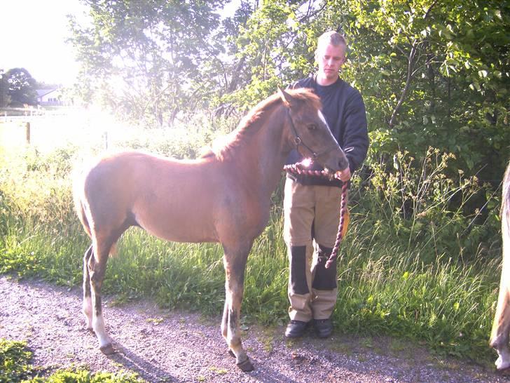 Cruzado solgt billede 6