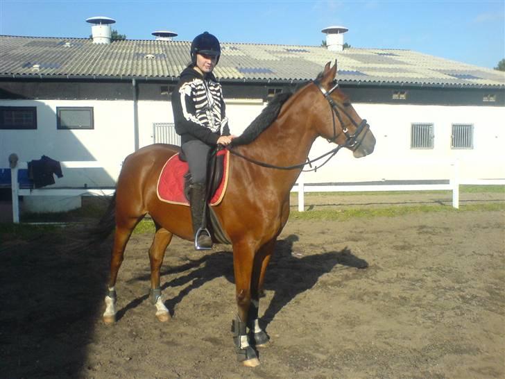 Anden særlig race Freeman <3 billede 8