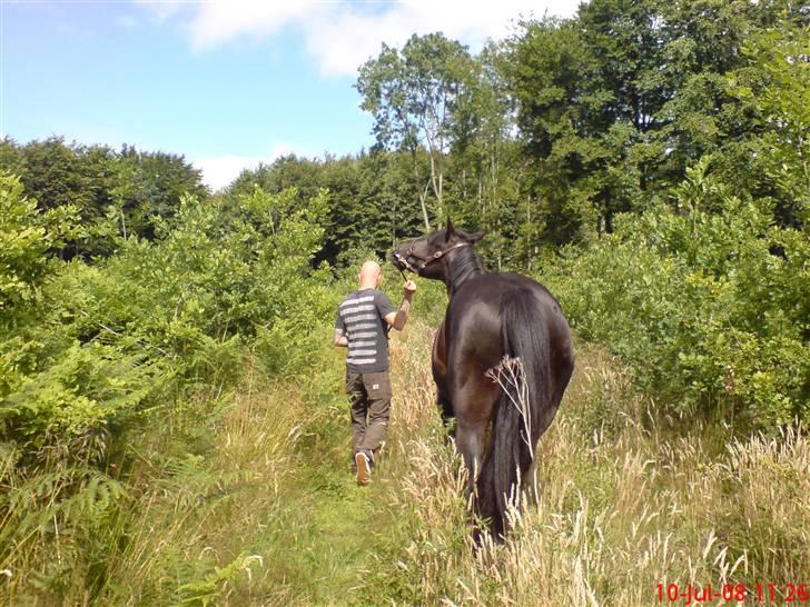 Anden særlig race Tjalfe billede 18