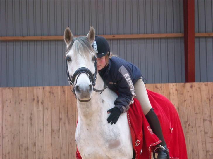 Anden særlig race Figo - Vinter 2008 Gjern rideklub ;) Satme koldt  billede 16