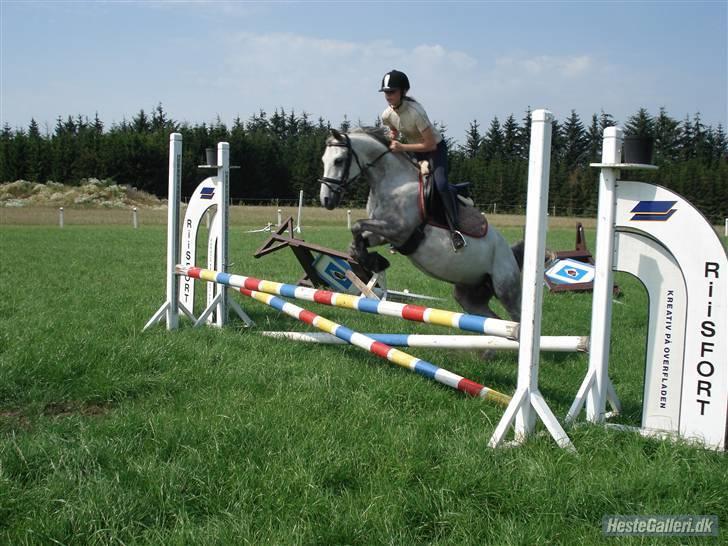 Anden særlig race Figo - Anne springer på mig billede 20