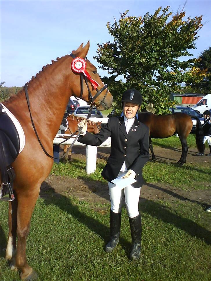 Palomino Lady - SOLGT :'(  - sweet memories... billede 14