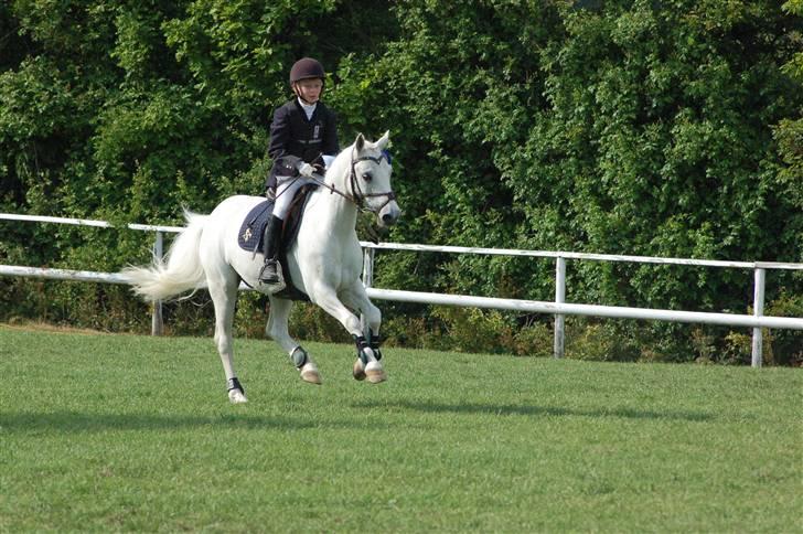 Anden særlig race Pascal - mig og skalle ;b billede 5