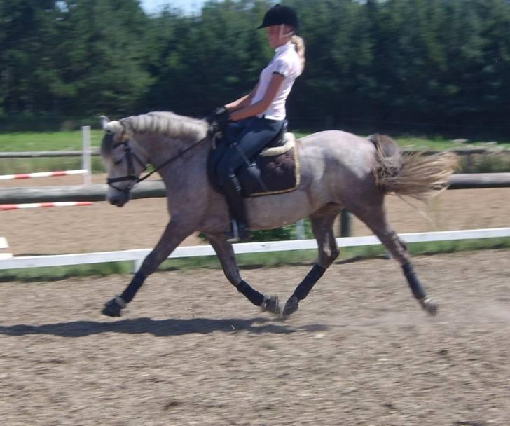 Connemara Canella - undervisning. foto: MIgge. billede 7