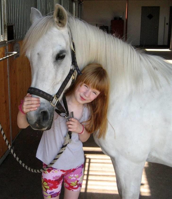 Anden særlig race Musse. R.I.P. *Himmel hest* - hejsa Velkommen Til musses Profil! Lig en kommentar og en bedømmelse billede 1