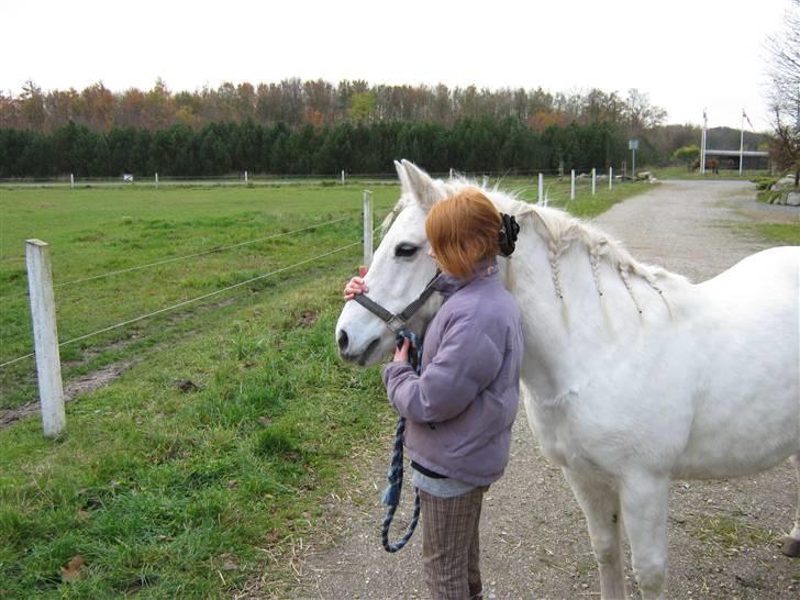 Anden særlig race Musse. R.I.P. *Himmel hest* - Så skal vi til stævne :) <3  billede 2