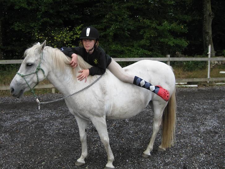 Anden særlig race Musse. R.I.P. *Himmel hest* - hygge (;  billede 10