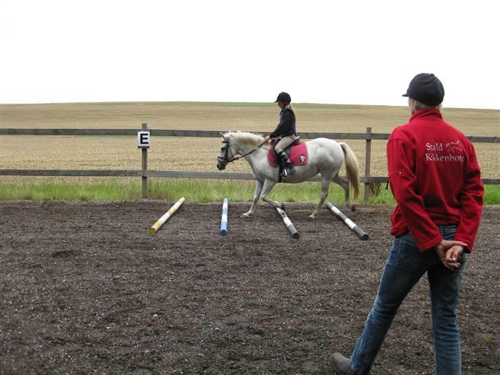 Anden særlig race Musse. R.I.P. *Himmel hest* - lidt spring (;  billede 7