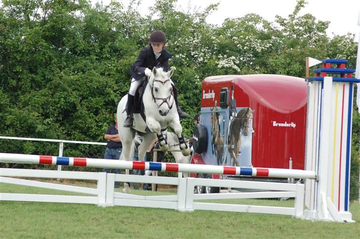 Anden særlig race Pascal billede 7