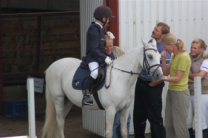 Anden særlig race Pascal billede 12