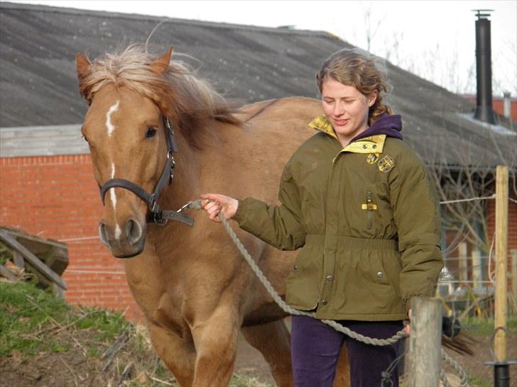 Anden særlig race Silas - *NYT* billede 3
