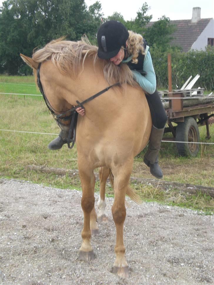Anden særlig race Silas billede 4