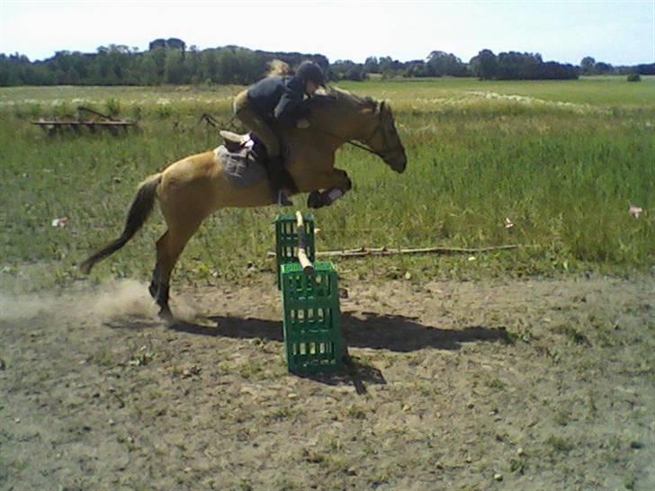 Anden særlig race ribena - mig og ribena <3 billede 13