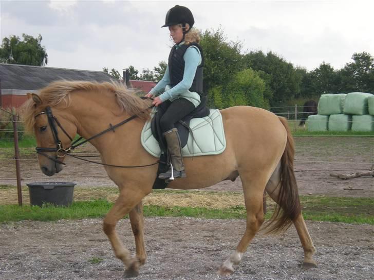 Anden særlig race Silas billede 7