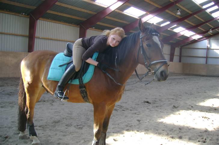 Anden særlig race Mirou *Solgt* billede 17