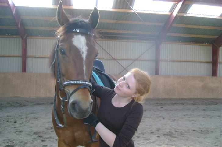 Anden særlig race Mirou *Solgt* billede 18