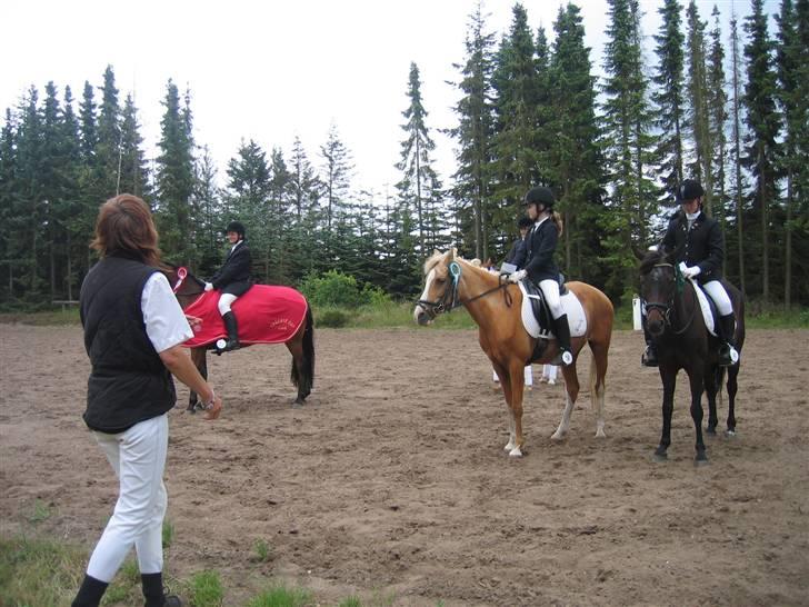 Palomino Beauty *Solgt* - præmie overrekkelse af cuppen mig på 3.pladsen:)<3 billede 4