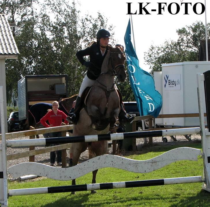 Hollandsk Sportspony Marieton's Pearl - Kløvergården MB - vandt klassen. Lavet en mini vending til det spring der (: <3 Jeg elsker min pony ! Mit et og alt<3 billede 1
