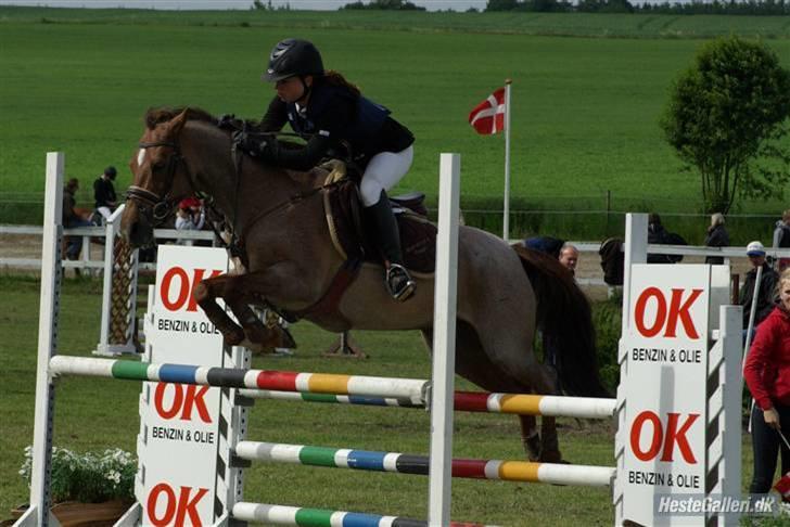 Hollandsk Sportspony Marieton's Pearl - Silkeborg landsstævne (MA) ;jeg elsker dig alting. billede 2