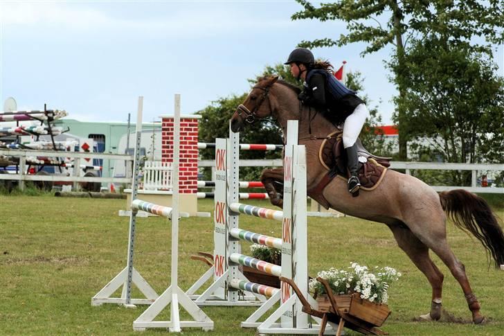 Hollandsk Sportspony Marieton's Pearl - Silkeborg landsstævne (MA) minpigé billede 4