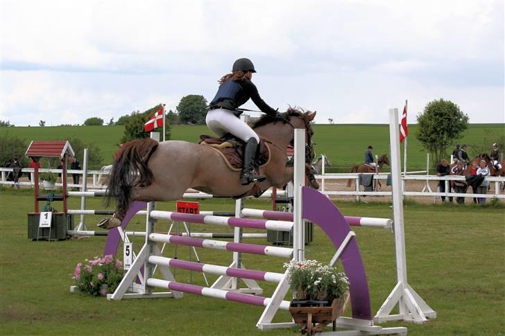 Hollandsk Sportspony Marieton's Pearl - Silkeborg landsstævne (MB) 8.plads min flyver billede 6