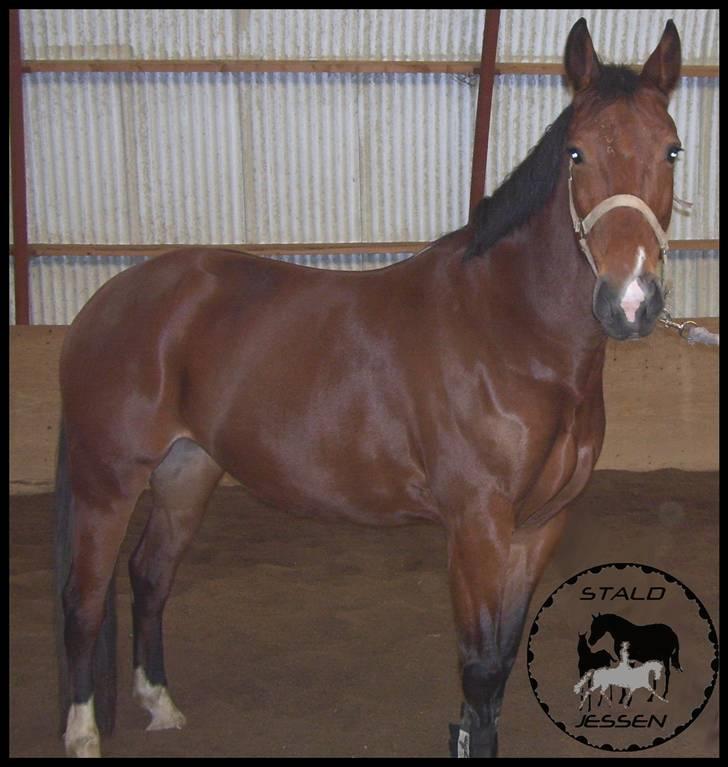 Anden særlig race Mulan - Mulan , januar ´09 billede 3