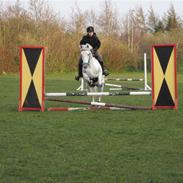 Anden særlig race Twister 