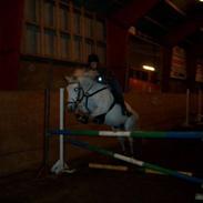 Anden særlig race Twister 