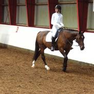 Holstener I-Ronilla*Ikke part mere*