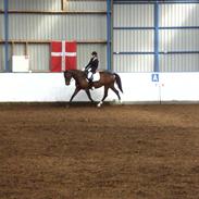 Holstener I-Ronilla*Ikke part mere*