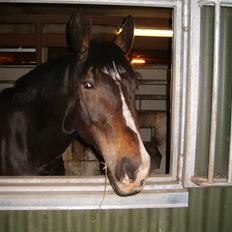 Oldenborg Markus