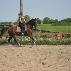 Anden særlig race Rasti