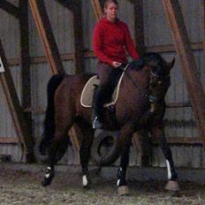 Anden særlig race Rasti